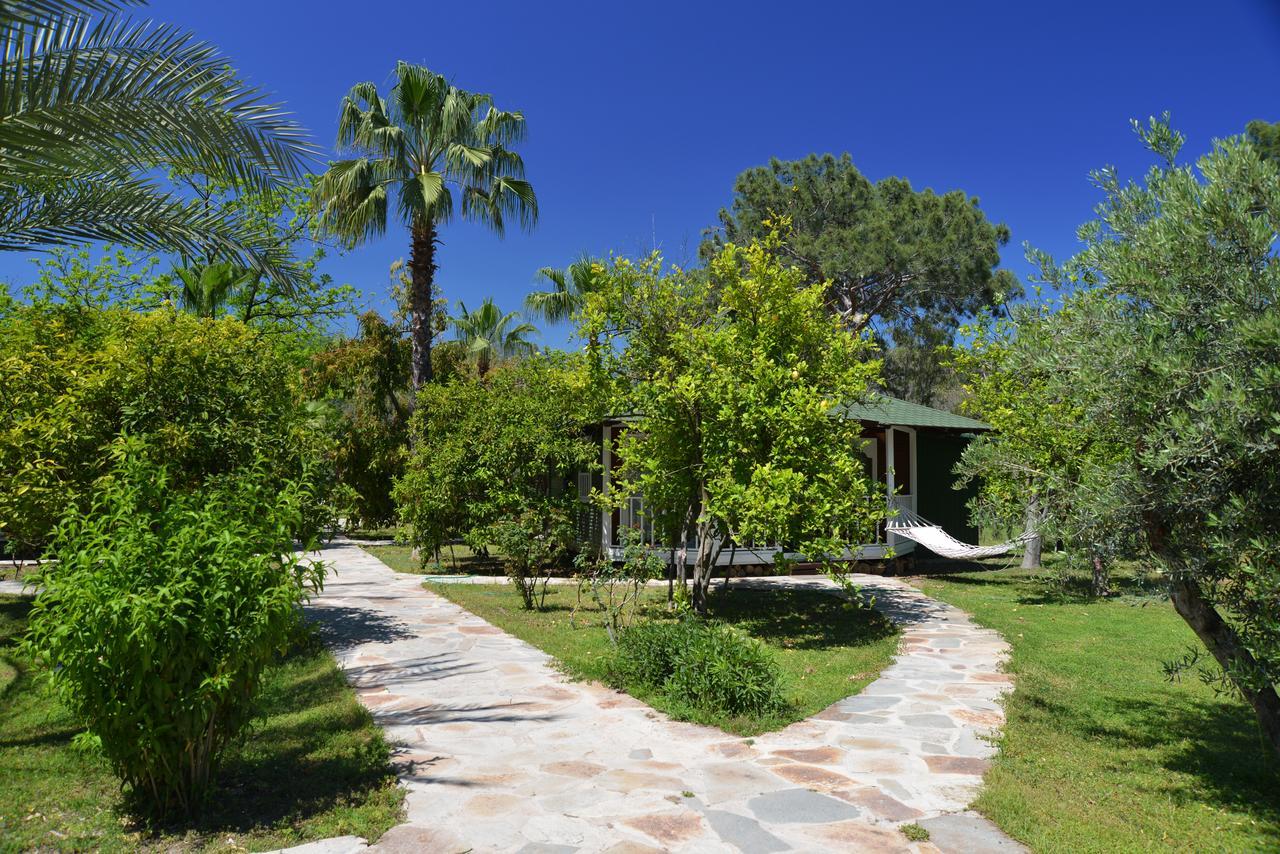 Arcadia Hotel Çıralı Exterior foto